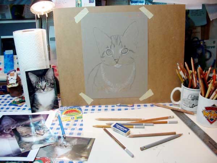 kitten portrait in progress