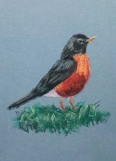 Robin-pastel-3-10-19-w.jpg