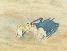 crab.jpg