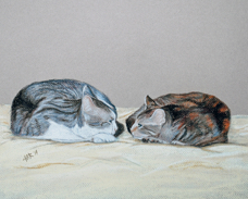 2 cats Landwehr DSC_0406.jpg