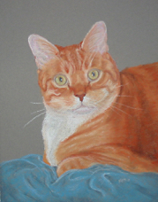 IMG_0005 Kathi DuTilly cat.jpg