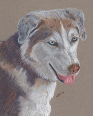 Jennifer Hill dog portrait Lulu.jpg