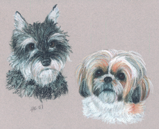 Kylic 2 dog portrait.jpg