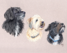 Lori Sisson 3 dog portait no2.jpg
