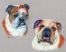 Lori-Sisson-2-bulldogs-portrait.jpg