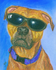 nismo dog portrait.jpg